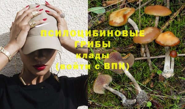 прущая мука Магадан