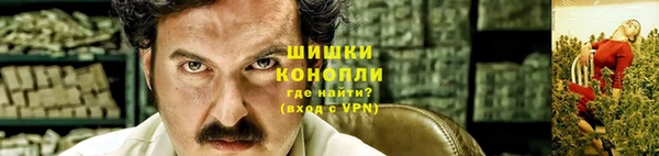 тгк Магас