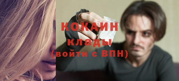 тгк Магас