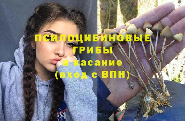 mix Богородицк