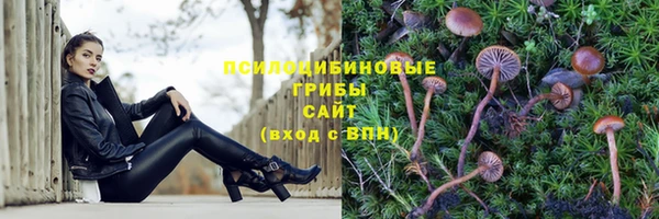 герыч Бердск