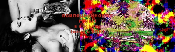 прущая мука Магадан