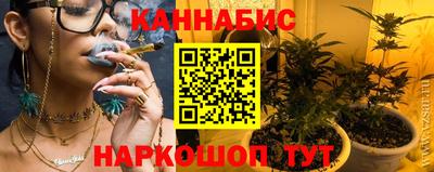 стафф Дубна