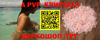 стафф Дубна