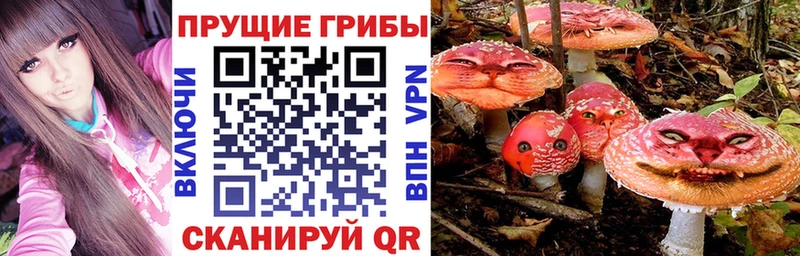 Галлюциногенные грибы Cubensis  Курган 