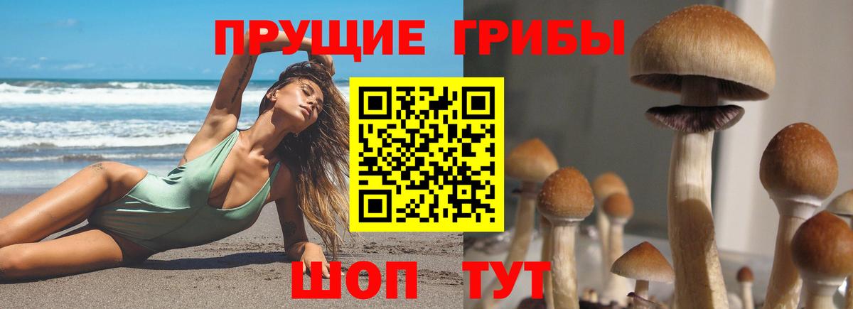 A PVP  COCAIN  Каннабис  Вход с VPN  Курган  Марихуана  Гашиш  Мяу-Мяу 
